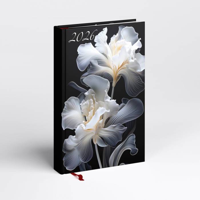 Picture A/5 napi írisz - napraforgó<br><small>GO-532160</small>