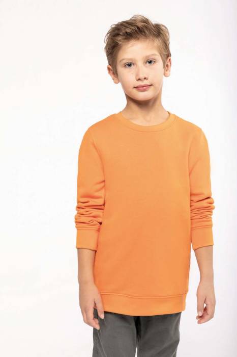 KIDS` ECO-FRIENDLY CREW NECK SWEATSHIRT - Sage, #99aca3<br><small>UT-ka4026sg-10/12</small>