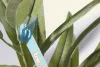PlantTag egyedi növénycímke