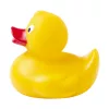 Squack gumikacsa