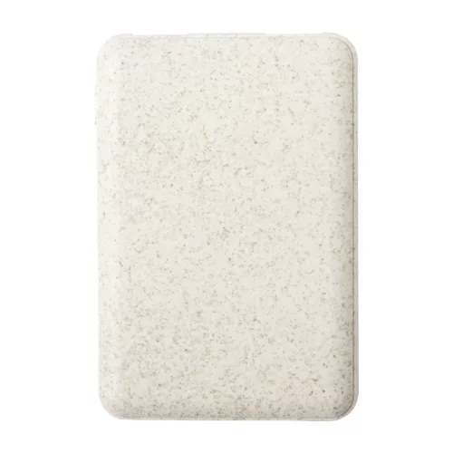 Durum power bank