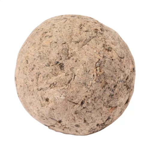 Flobba maggolyó