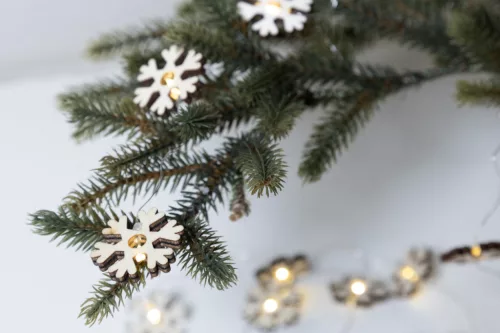 Polaris karácsonyi fényfüzér