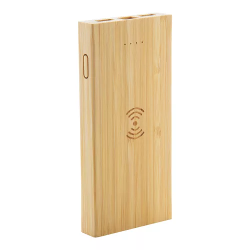 Wooster power bank