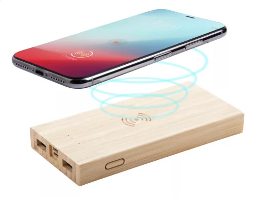 Wooster power bank