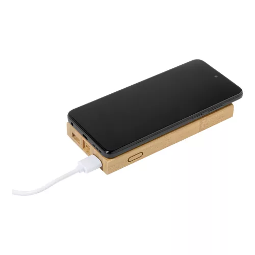 Wooster power bank