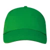 Santa Fe 5 paneles baseballsapka (adjustable, Zöld)