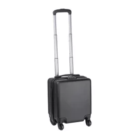 Palmas kézipoggyász