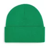 Original Cuffed Beanie (ONE SIZE, Kelly Green)