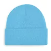 Original Cuffed Beanie (ONE SIZE, Surf Blue)