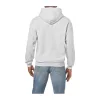 HEAVY BLEND™ ADULT HOODED SWEATSHIRT (2XL, Ash Grey)