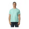 Softstyle® Adult T-Shirt (2XL, Teal Ice)