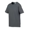 SOFTSTYLE® YOUTH T-SHIRT (XL, Charcoal)