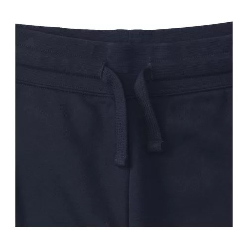 Men's Authentic Jog Pants (M, French Navy)