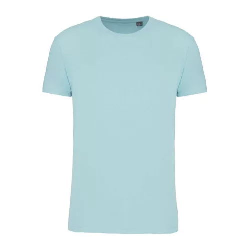 Bio150Ic Men'S Round Neck T-Shirt (2XL, Ice Mint)
