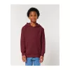 Mini Cruiser 2.0 gyermek kapucnis pulóver (12-13/152-158cm, Burgundy)