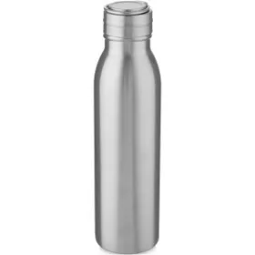   Harper rozsdamentes acél palack, 700 ml (25 x d: 6,5 cm, szürke)