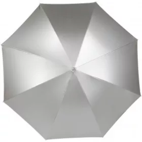 Silver esernyő (ezüst)