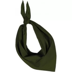 Kup Fiesta bandana (zöld)