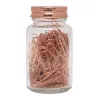COPPER CLIP - gemkapcsok üvegben