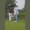 Golf esernyő szélterelővel