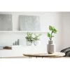 A5 nyírfa GROWBOOK™ (Fa)