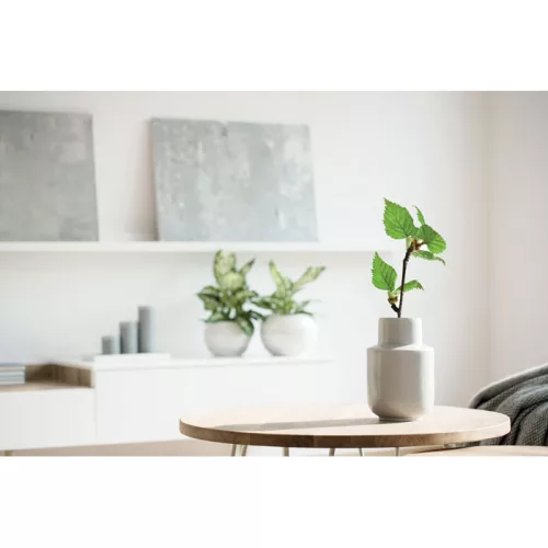 A5 nyírfa GROWBOOK™ (Fa)
