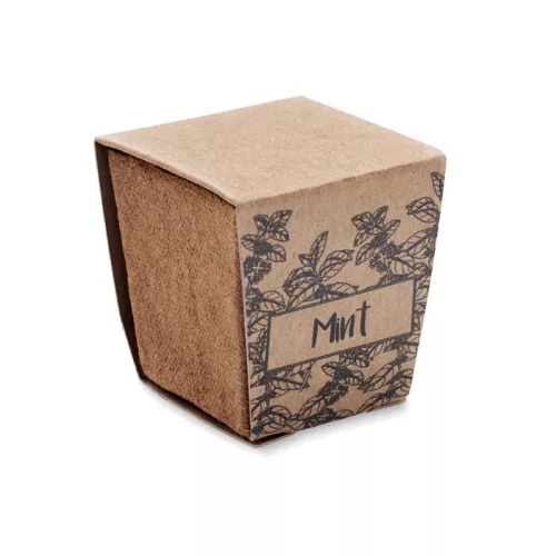 Menta ültetőkészlet