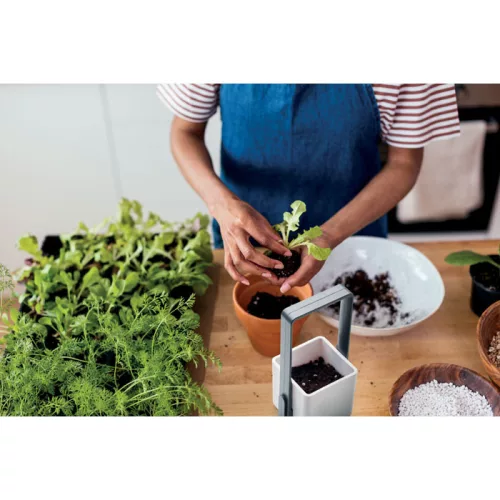 Szobakert LED fénnyel