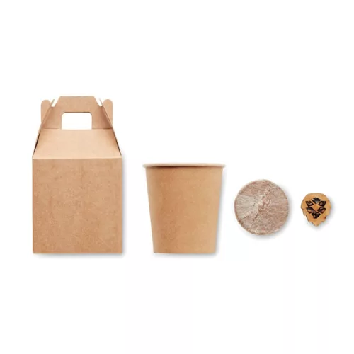 Fenyő ültető készlet