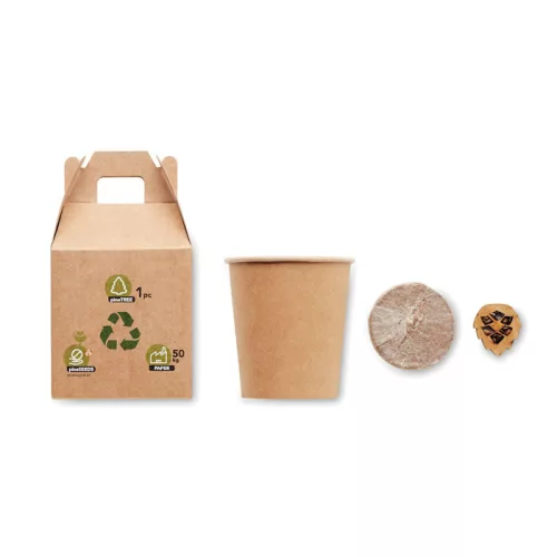 Fenyő ültető készlet